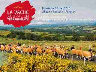 Camping La Romiguiere : 2019 05 26 La Transhumance en Aubrac